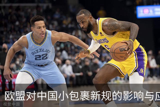 欧盟对中国小包裹新规的影响与应对措施